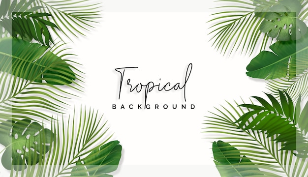 Free PSD beautiful tropical leaves background