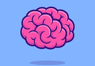brain illustrations