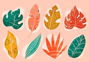 leaf illustrations