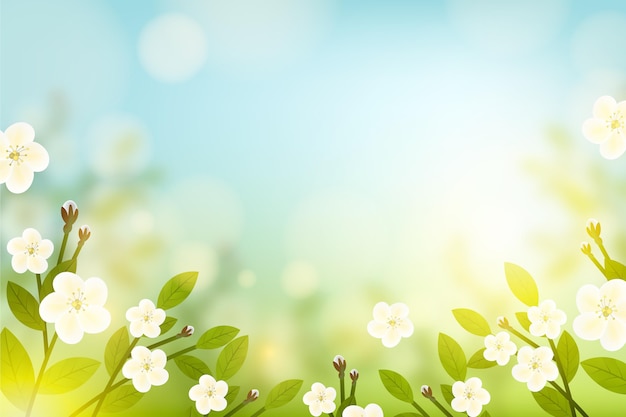 Free vector copy space spring floral background and blue sky