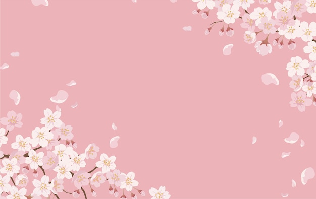 Free vector floral with cherry blossoms in full bloom on a pink.