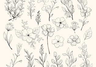 flower illustrations