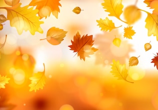 fall leaves backgrounds