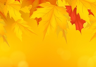 Fall Facebook Covers