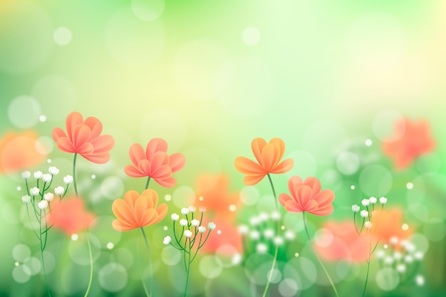 Free vector realistic blurred spring background