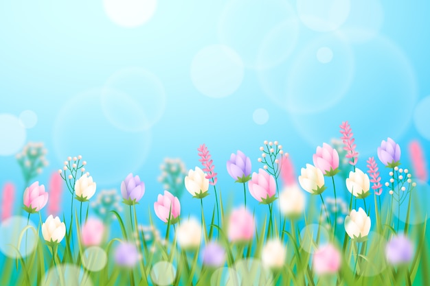 Free vector realistic floral spring background