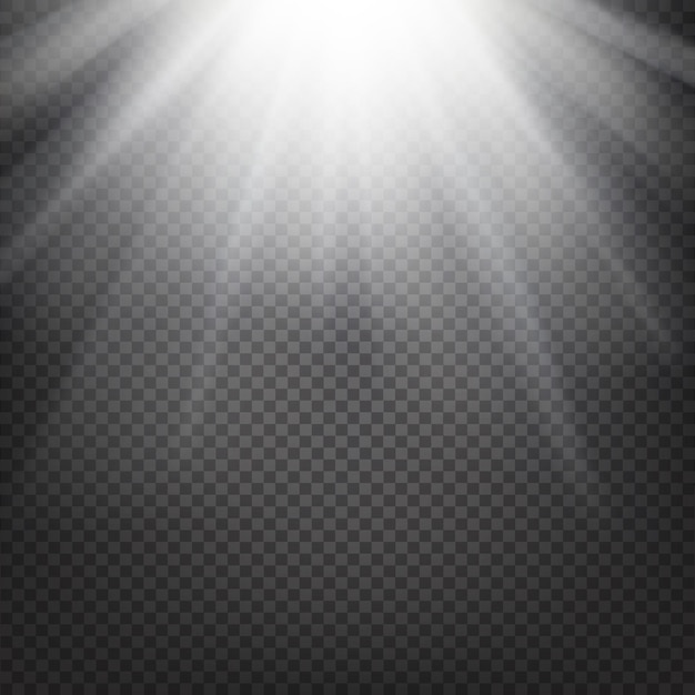 Free vector shiny sunburst of sunbeams on the abstract sunshine background and transparency background. vector illustration.