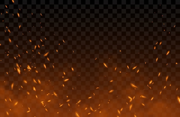 Free vector smoke, flying up sparks and fire particles