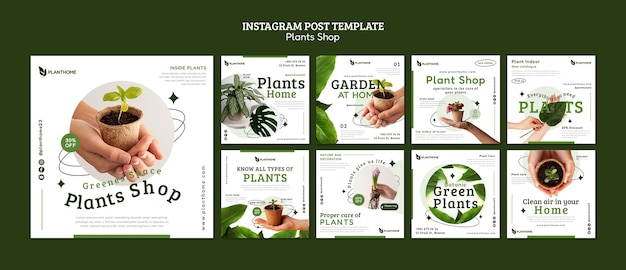 Free PSD taking care of plants instagram posts