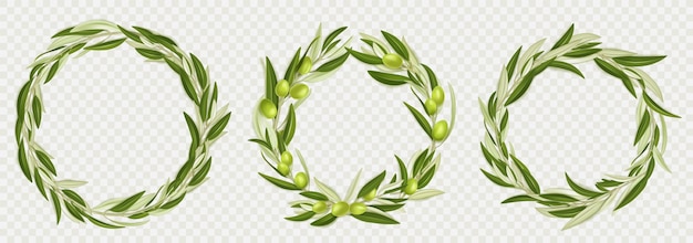 Free vector wreaths of olive tree branches with green fruits