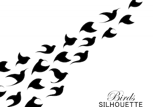 Bird silhouettes